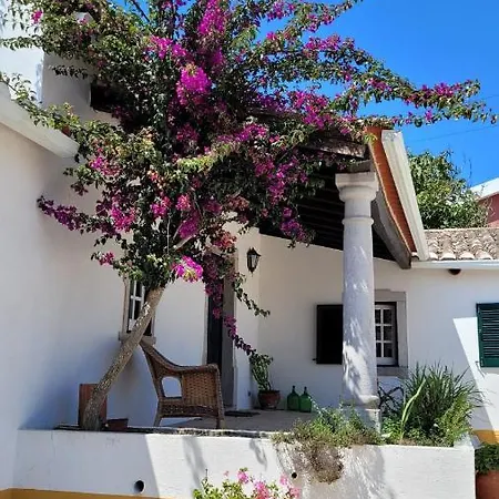 Villa Casa Do Patio - Très Charmante 12 Personnes 5ch Avec Piscine