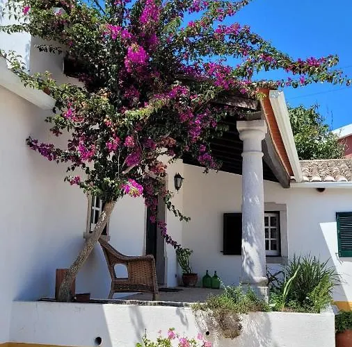 Βίλα Casa Do Patio - Tres Charmante 12 Personnes 5ch Avec Piscine